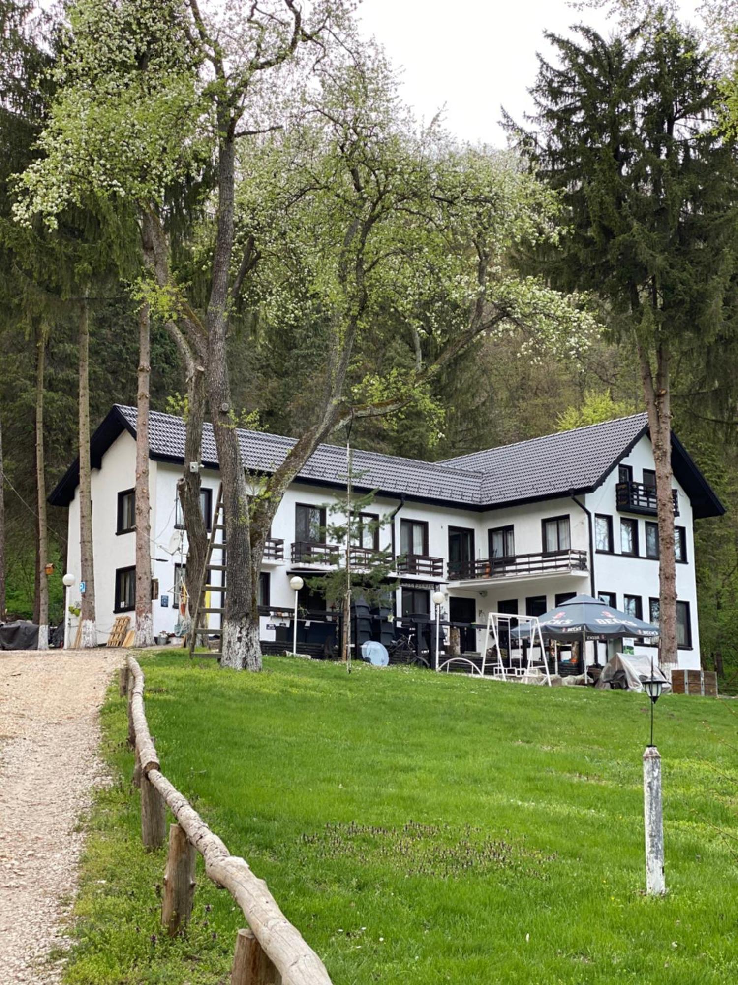 Starite Borove Villa Sinagovtsi Eksteriør bilde